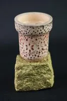 solaris Bowl Moon Limitiert